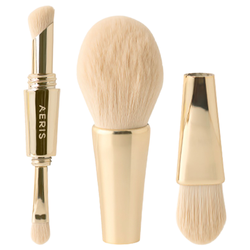 Aeris 4 in 1 Brush with Pouch - Gold